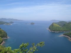 城山から浅茅湾を望む