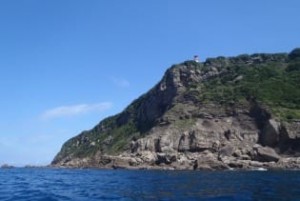 point_img018