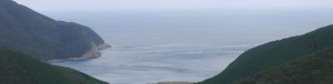 top_bg003